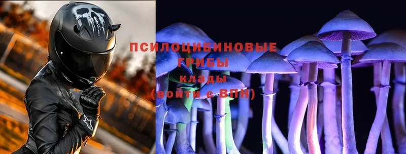 Галлюциногенные грибы Psilocybe Островной